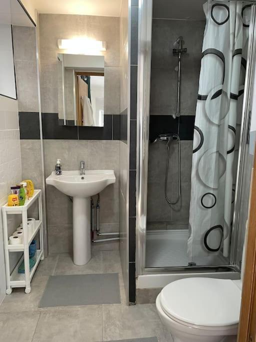 Apartment Bazilic